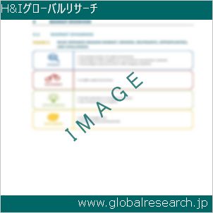 グローバルリサーチ調査レポートのイメージ